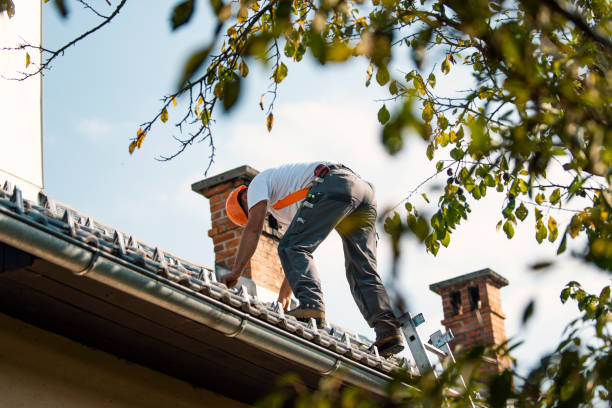 Best Roof Gutter Cleaning  in Governors Village, NC