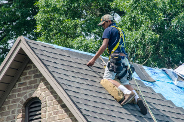 Best New Roof Installation  in Governors Village, NC