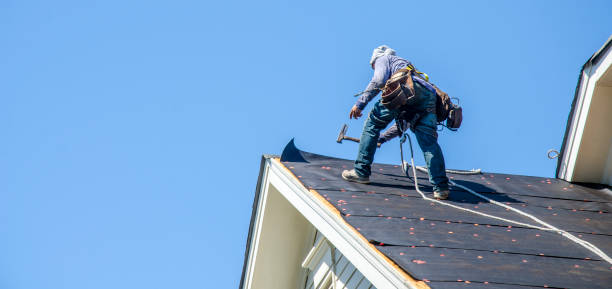 Best Roof Restoration Services  in Governors Village, NC